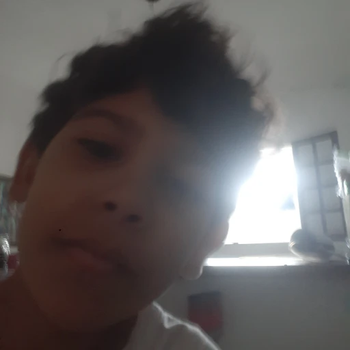 João Vitor Game Plays