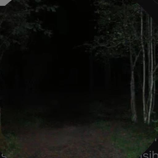 unknown man from the woods