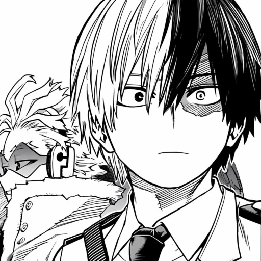 Shoto Todoroki [BL 2]