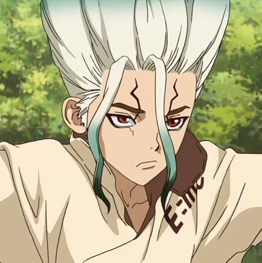 Senku Ishigami | bl