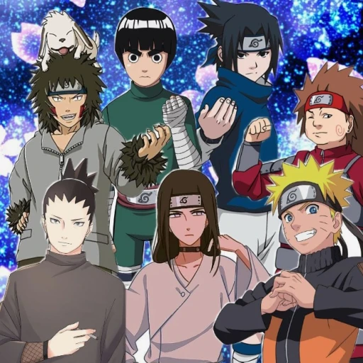 Naruto, Neji, Choji, Rock Lee, Shikamaru, Kiba