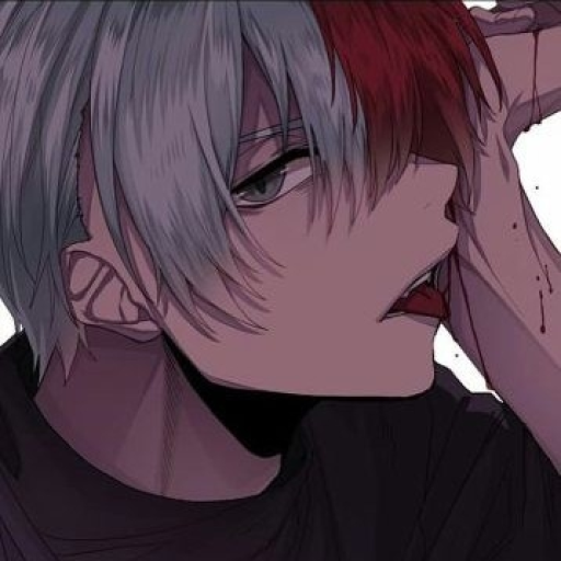 Shoto Todoroki [NTR]