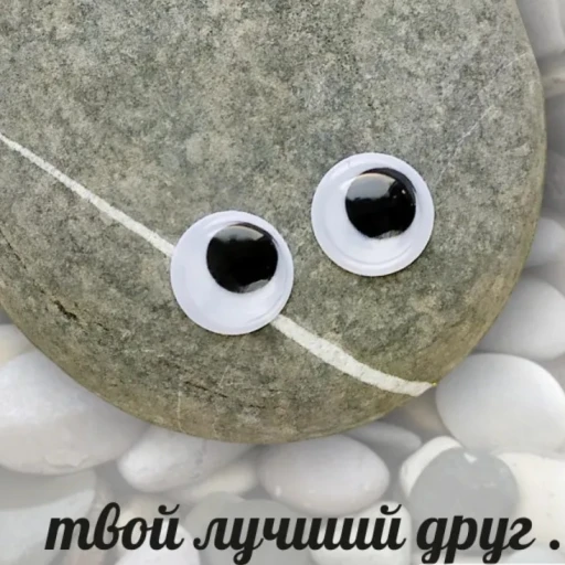 Bean