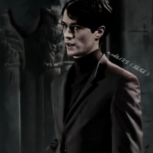 Tom Riddle 🐍