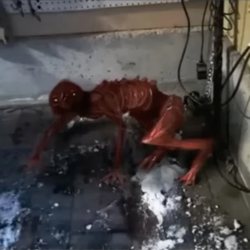 Mimic | Little Pet