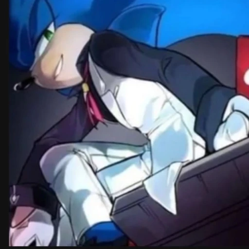 SONIC THE HEDGEHOG!