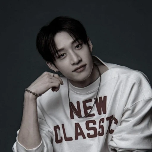 Bang Chan ⚘