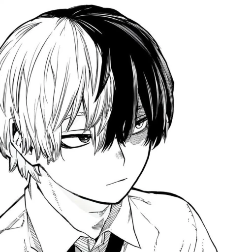 Todoroki Shouto
