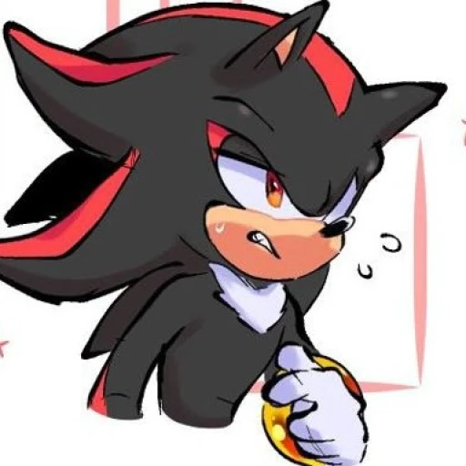 Shadow the Hedgehog...🫀