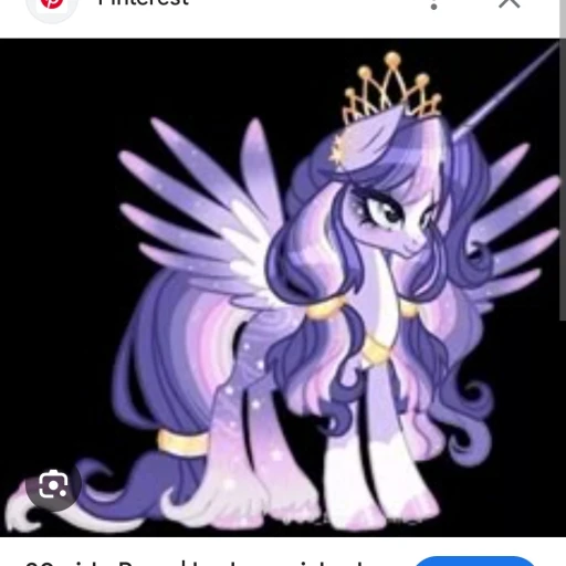 Pony Horse