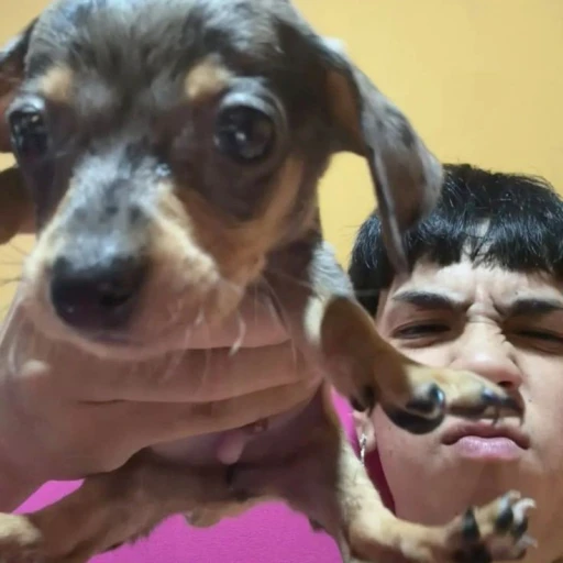 Camilo Villaruel ~Milo J~