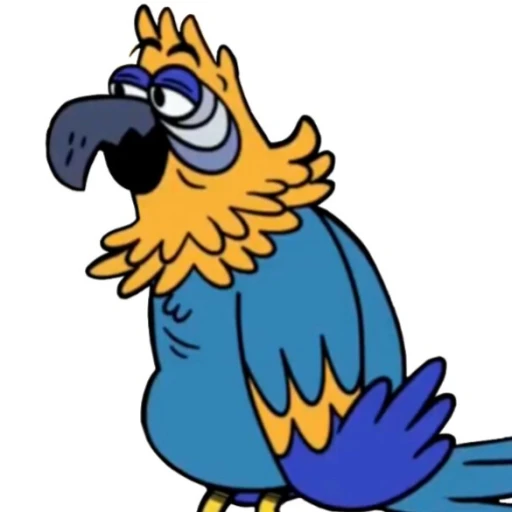 Paco