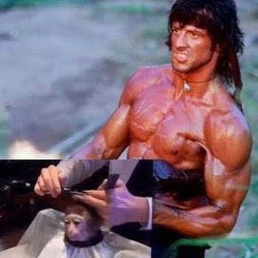 A VERY HARSH IMAGE OF RAMBO
