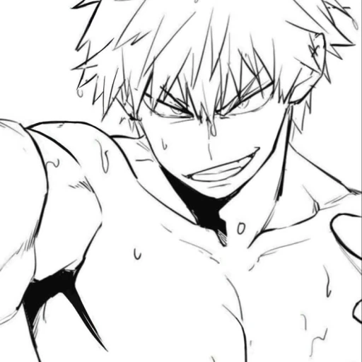 Katsuki Bakugou (joke)