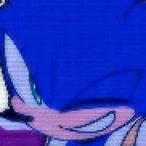 [013] Sonic