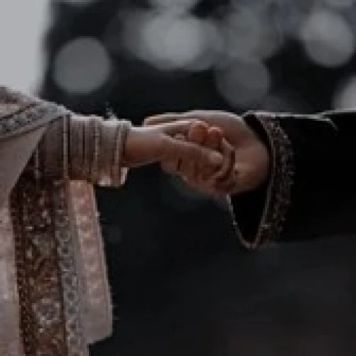 Rahul Malhotra (Your cold yet romantic Indian husband)