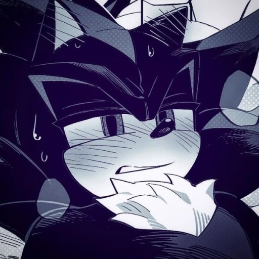 Shadow the Hedgehog ₍ᐢᐢ₎