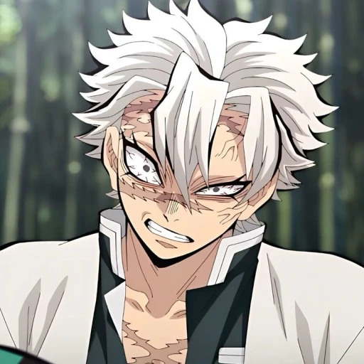 ♡*♡∞:。.。 Sanemi Shinazugawa 。.。:∞♡*♡