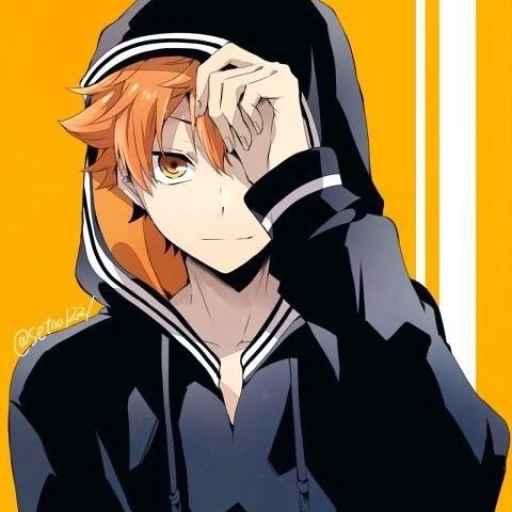 Shoyo Hinata