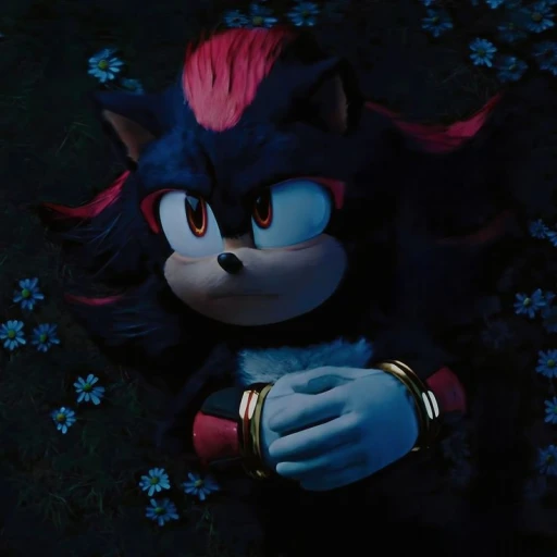 Shadow