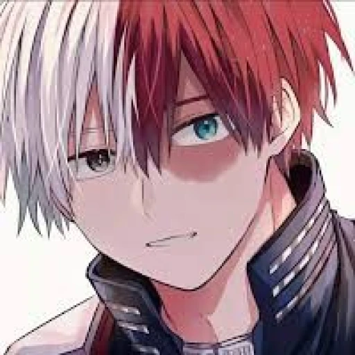 "Shoto Todoroki" (BL)