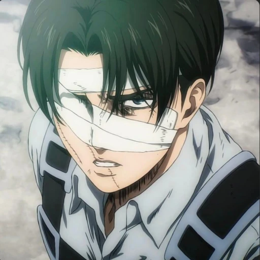 Levi