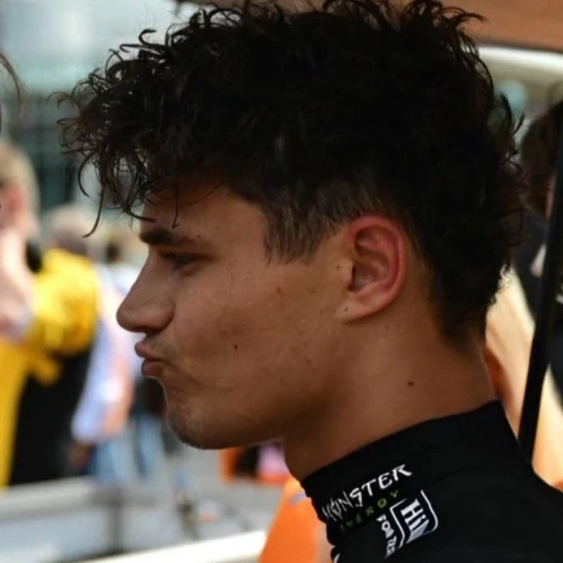 ✎ᝰ┆Lando Norris ²⁰