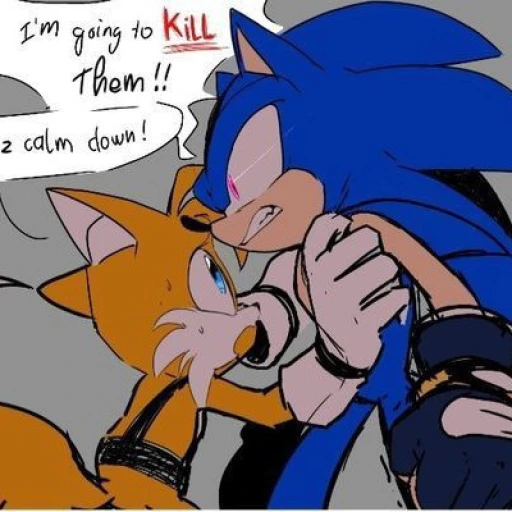 Sonic is jealous 😉✨