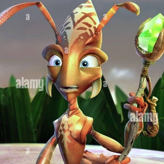 Zoc the ant