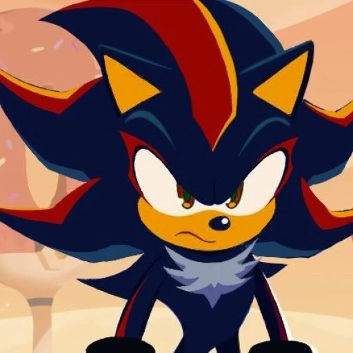 21 Shadow the Hedgehog!