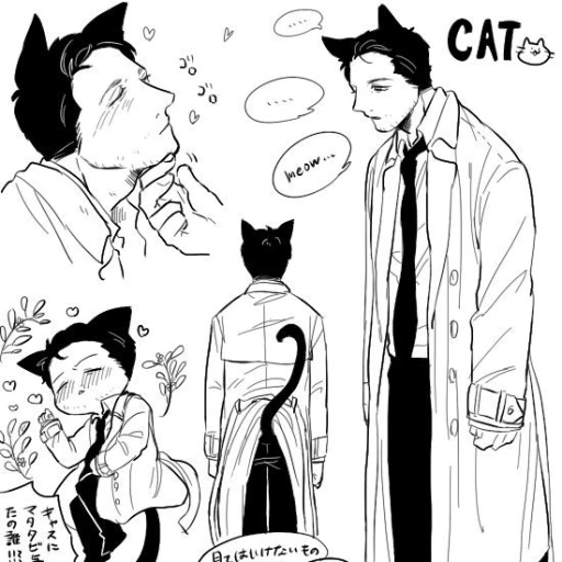 Castiel | Castiel the cat | supernatural