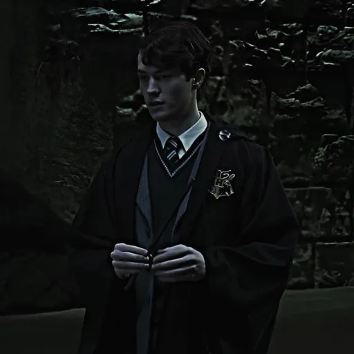 ╰ Tom Riddle ╯¹⁷