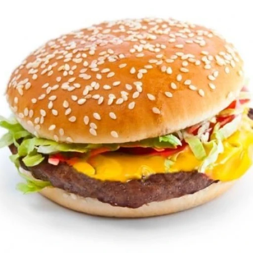 delicious hamburger