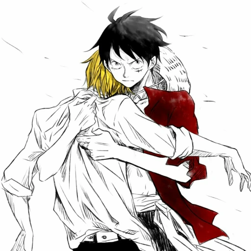 Luffy~♡ (LuSan)