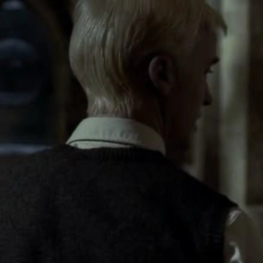 DRACO 🐦⬛