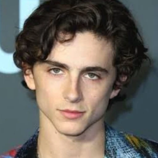 Timothée Chalamet