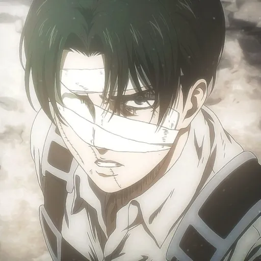Levi ackerman