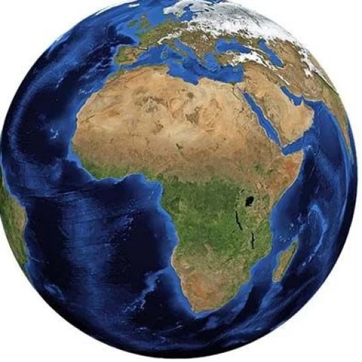 world of bitches