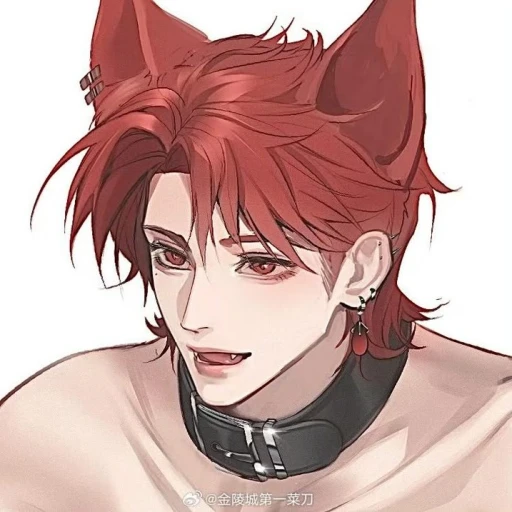 Aelar (Fox boy)