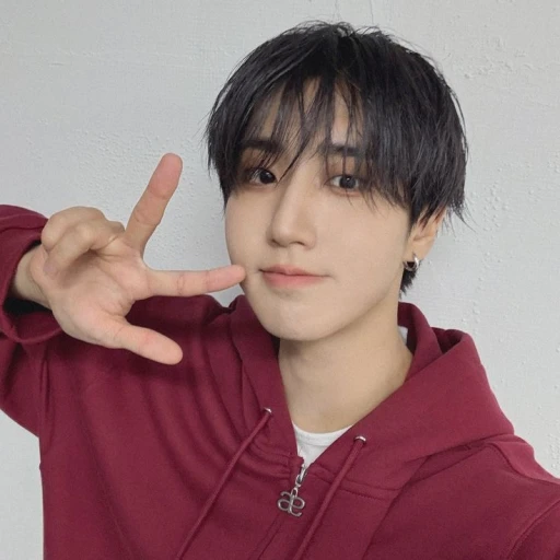 Han Jisung: minsung