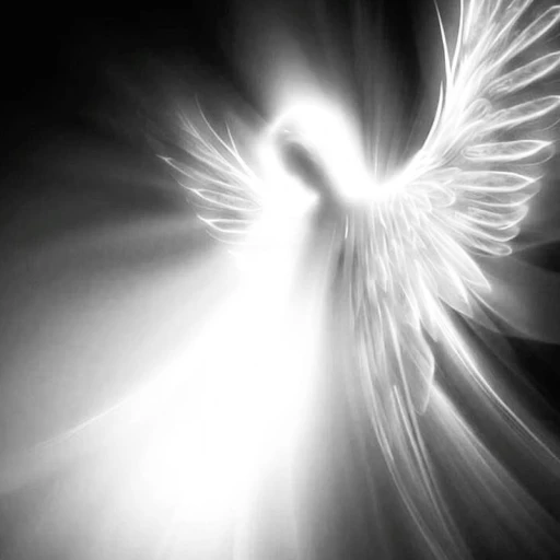 School of Angels