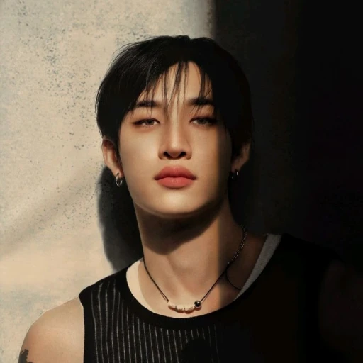 - - ┈┈∘┈Bangchan┈∘┈┈ - -