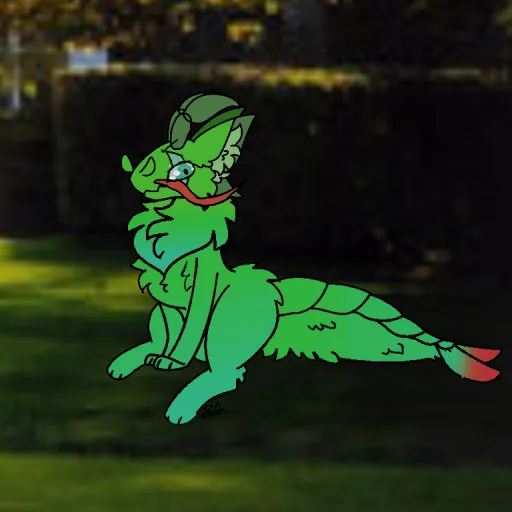 ╬⊰ Shrℰd ╬⊰⊹ฺ