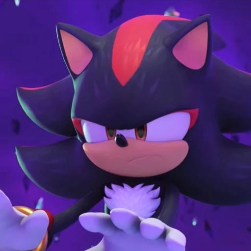 shadow the hedgehog 🦔❤️🖤