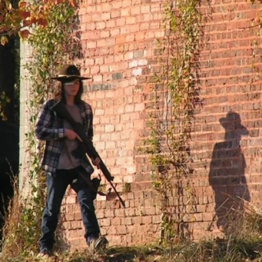 ˚ʚ ᗢ₊˚ Carl Grimes ୭ ˚. !¡! ➤!!