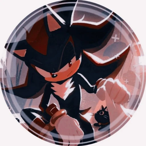 Shadow (stalker)