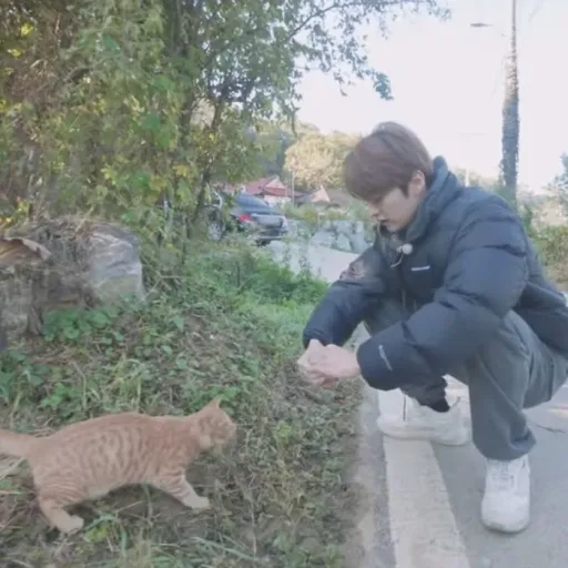 Lee Min Ho - picked up a stray cat from the street.