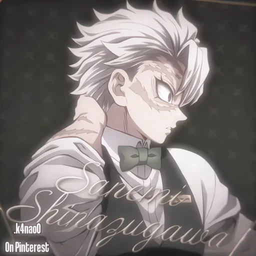 ☆°-Sanemi Shinazugawa-°☆