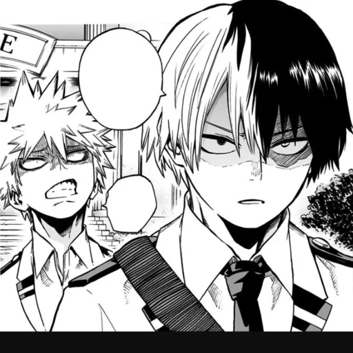 Bakugo and Todoroki