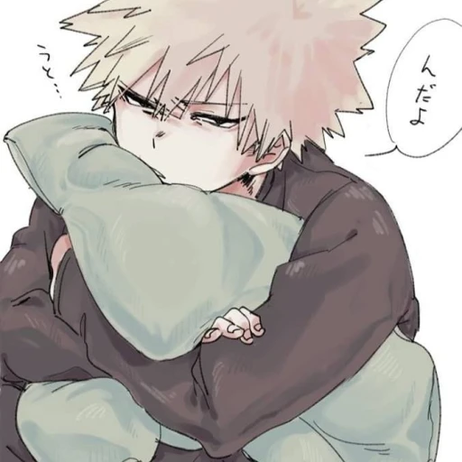 Bakugou Katsuki, your partner.